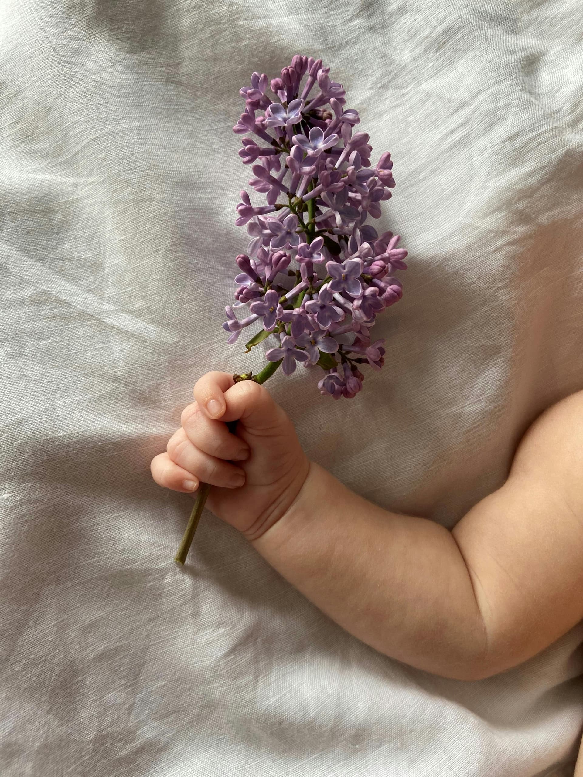 Breathable Organic Muslin